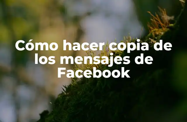 Cómo Hacer Copia de los Mensajes de Facebook 2 ¿Qué es hacer copia de los mensajes de Facebook?