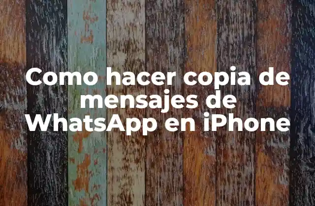 Como Hacer Copia de Mensajes de Whatsapp en Iphone 2 ¿Qué es una copia de seguridad de mensajes de WhatsApp en iPhone?