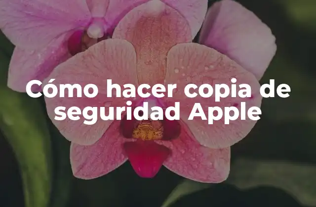 Cómo Hacer Copia de Seguridad Apple