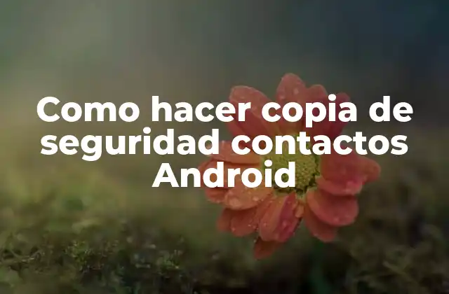 Como Hacer Copia de Seguridad Contactos Android
