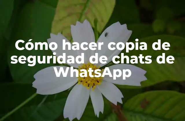 Cómo Hacer Copia de Seguridad de Chats de Whatsapp