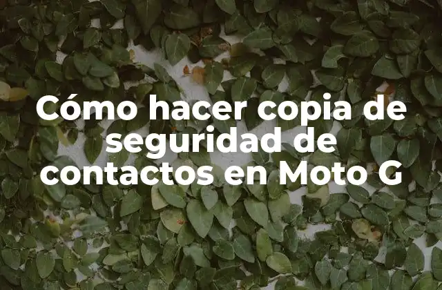 Cómo Hacer Copia de Seguridad de Contactos en Moto G