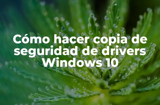 Cómo Hacer Copia de Seguridad de Drivers Windows 10