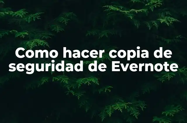 Como Hacer Copia de Seguridad de Evernote