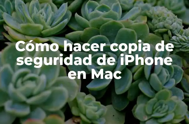 Cómo hacer copia de seguridad de iPhone en Mac