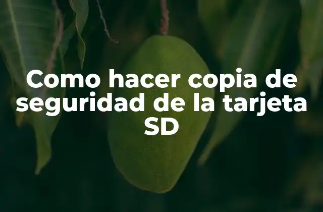 Como Hacer Copia de Seguridad de la Tarjeta Sd