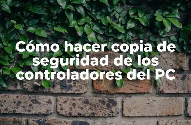 Cómo Hacer Copia de Seguridad de los Controladores Del Pc