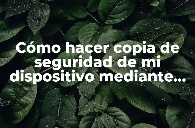 Cómo Hacer Copia de Seguridad de Mi Dispositivo mediante Pc
