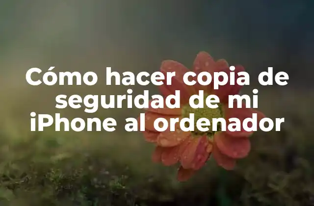 Cómo hacer copia de seguridad de mi iPhone al ordenador