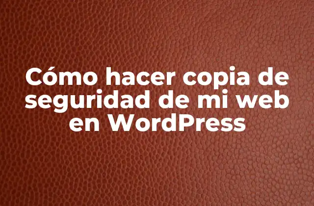 Cómo Hacer Copia de Seguridad de Mi Web en WordPress