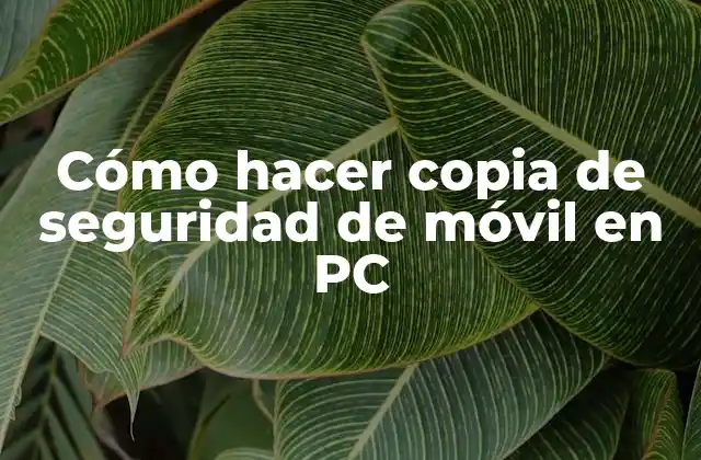 Cómo Hacer Copia de Seguridad de Móvil en Pc