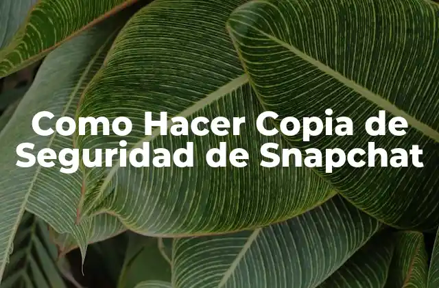 Como Hacer Copia de Seguridad de Snapchat