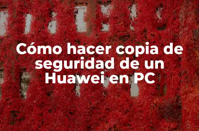 Cómo Hacer Copia de Seguridad de un Huawei en Pc