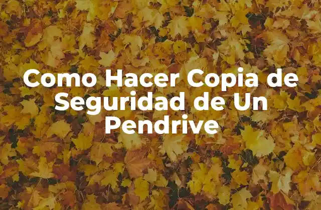 Como Hacer Copia de Seguridad de Un Pendrive