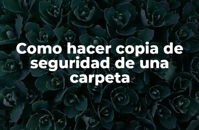 Como Hacer Copia de Seguridad de una Carpeta