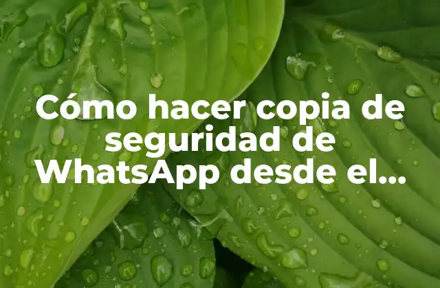 Cómo Hacer Copia de Seguridad de Whatsapp desde el Ordenador