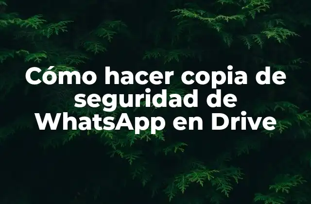 Cómo Hacer Copia de Seguridad de Whatsapp en Drive
