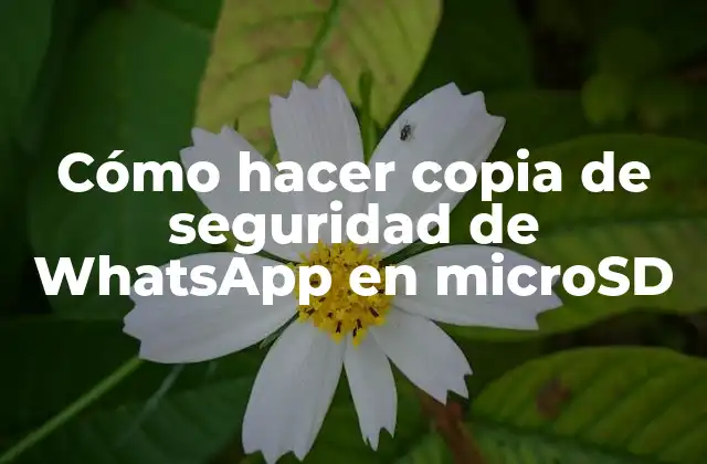 Cómo Hacer Copia de Seguridad de Whatsapp en Microsd