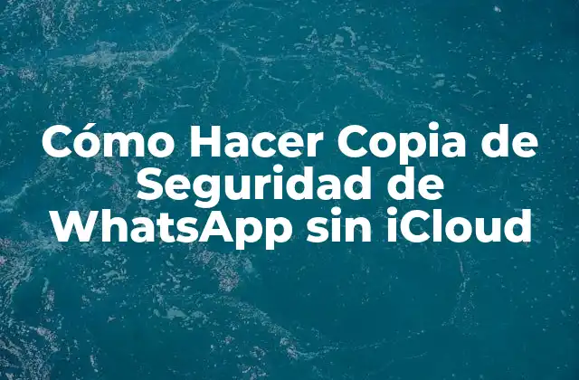 Cómo Hacer Copia de Seguridad de Whatsapp sin Icloud