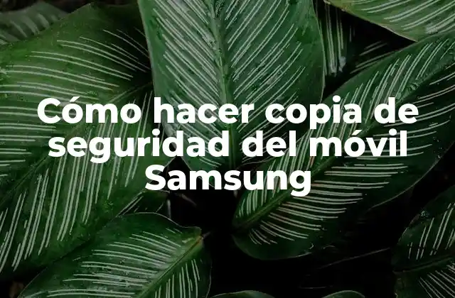 Cómo Hacer Copia de Seguridad Del Móvil Samsung