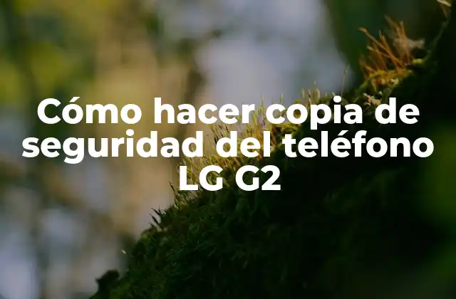 Cómo Hacer Copia de Seguridad Del Teléfono Lg G2