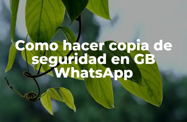 Como Hacer Copia de Seguridad en Gb Whatsapp