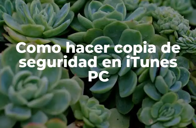 Como Hacer Copia de Seguridad en Itunes Pc
