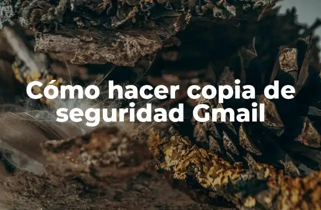 Cómo Hacer Copia de Seguridad Gmail