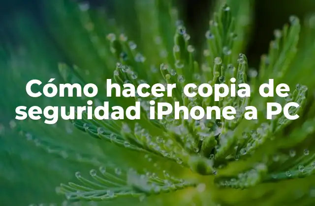 Cómo Hacer Copia de Seguridad Iphone a Pc