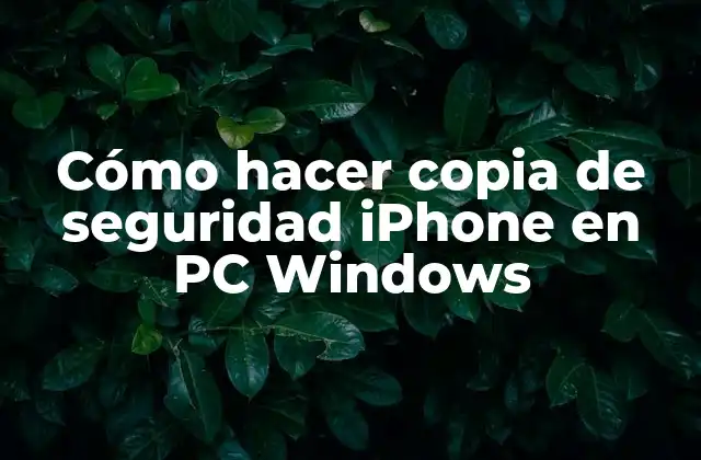 Cómo Hacer Copia de Seguridad Iphone en Pc Windows