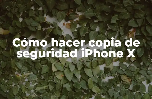 Cómo Hacer Copia de Seguridad Iphone X