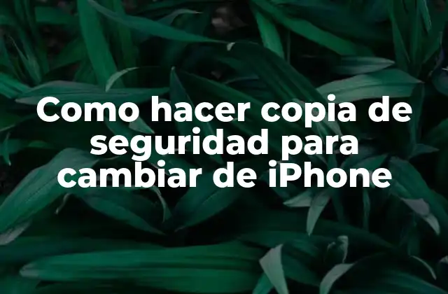 Como Hacer Copia de Seguridad para Cambiar de Iphone