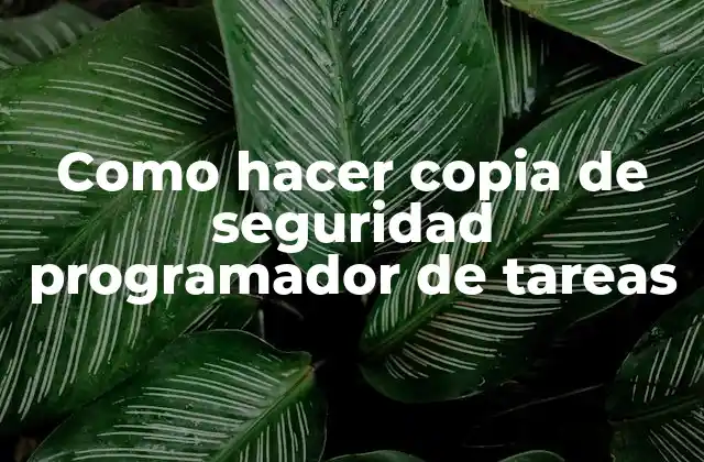 Como Hacer Copia de Seguridad Programador de Tareas