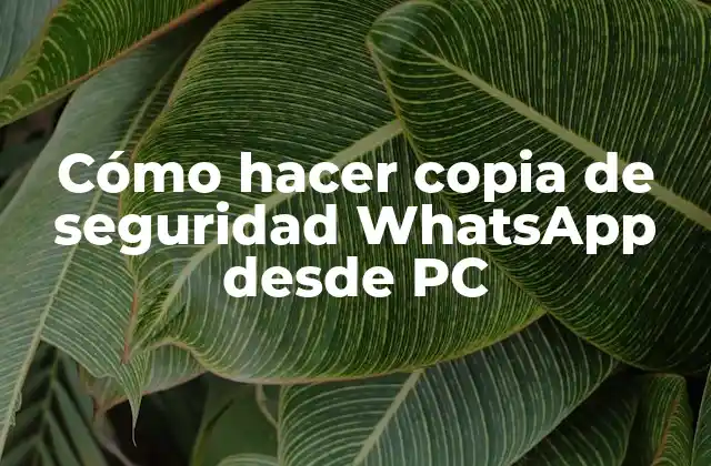 Cómo Hacer Copia de Seguridad Whatsapp desde Pc