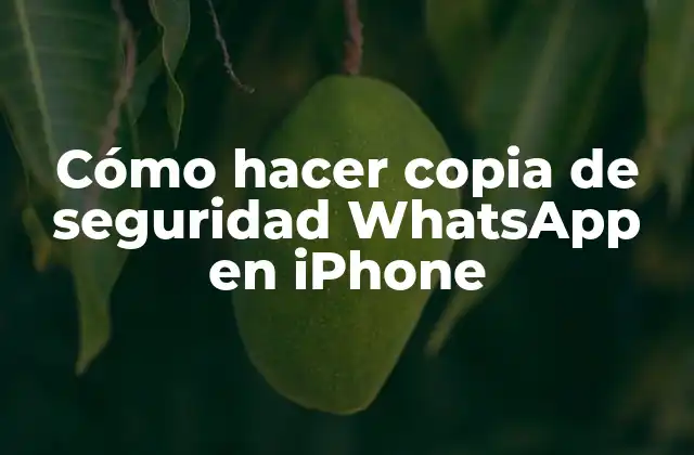 Cómo Hacer Copia de Seguridad Whatsapp en Iphone