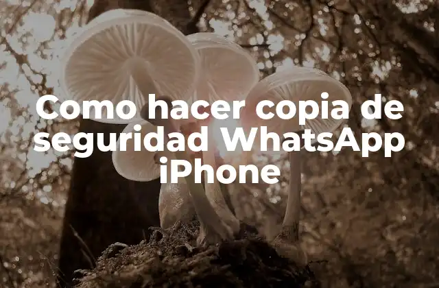 Como Hacer Copia de Seguridad Whatsapp Iphone