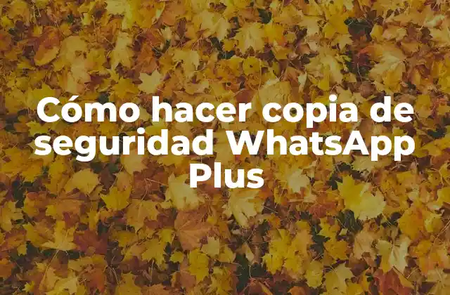 Cómo Hacer Copia de Seguridad Whatsapp Plus