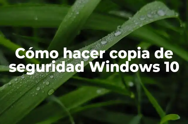 Cómo Hacer Copia de Seguridad Windows 10