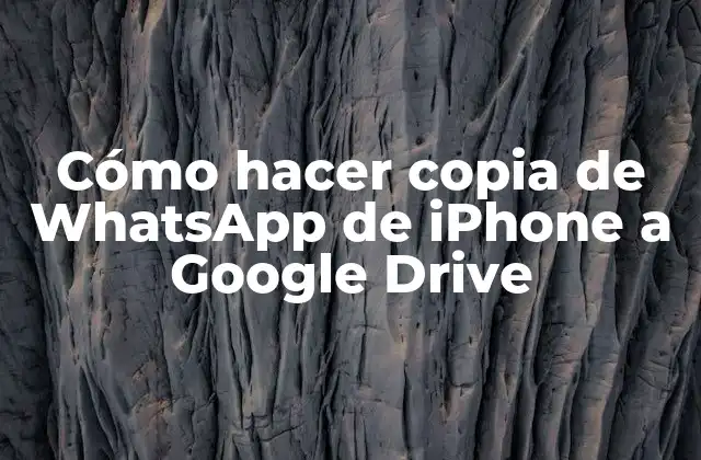 Cómo Hacer Copia de Whatsapp de Iphone a Google Drive