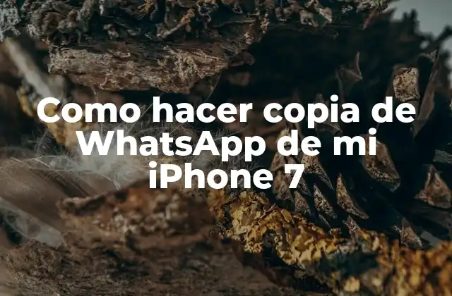 Como Hacer Copia de Whatsapp de Mi Iphone 7 2 Copia de seguridad de WhatsApp en iPhone 7