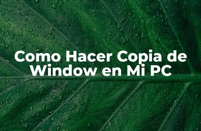 Como Hacer Copia de Window en Mi Pc