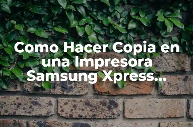 Como Hacer Copia en una Impresora Samsung Xpress M2830dw