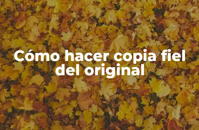 Cómo Hacer Copia Fiel Del Original