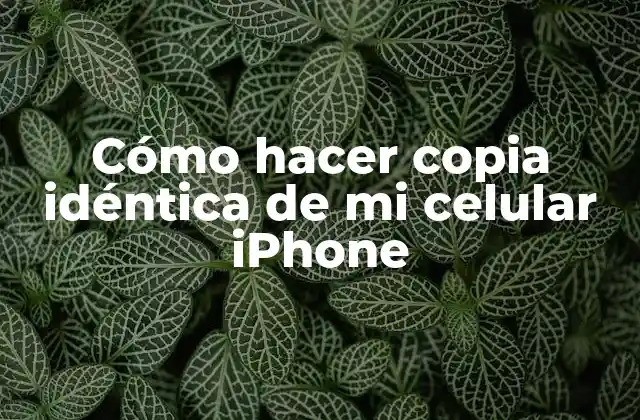 ¿Qué es una copia idéntica de un iPhone y para qué sirve?