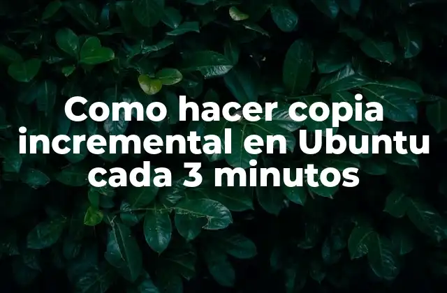 Como Hacer Copia Incremental en Ubuntu Cada 3 Minutos