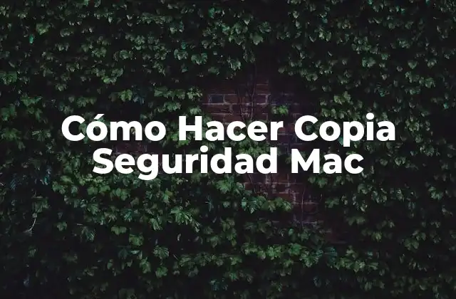 Cómo Hacer Copia Seguridad Mac