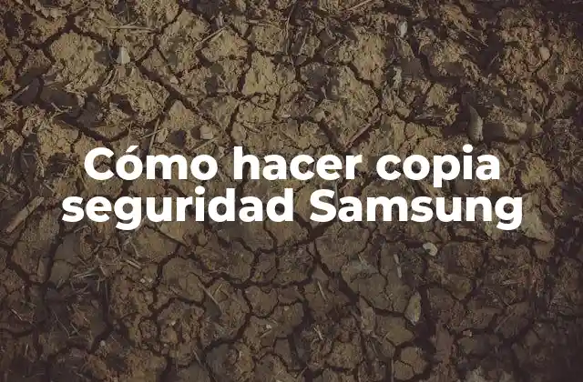 Cómo Hacer Copia Seguridad Samsung