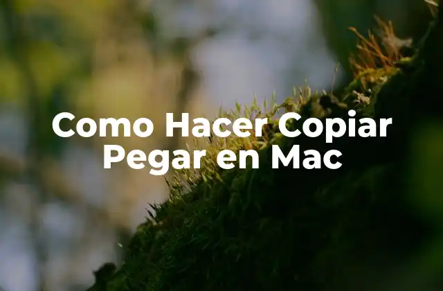 Como Hacer Copiar Pegar en Mac 2 Qué es Copiar y Pegar en Mac