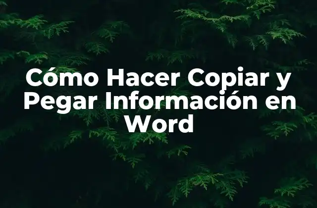 Cómo Hacer Copiar y Pegar Información en Word