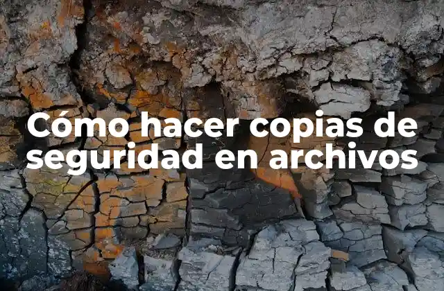 Cómo Hacer Copias de Seguridad en Archivos
